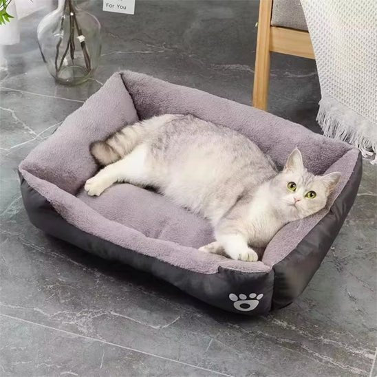 Coussin chat - universmiaou