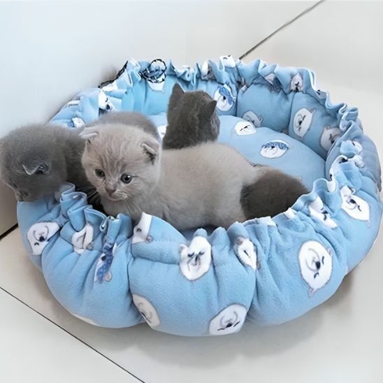 coussin doux et chaud pour chat - universmiaou