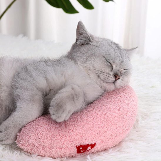 coussin doux et moelleux pour chat - universmiaou