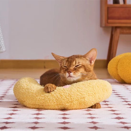 coussin doux et moelleux pour chat - universmiaou