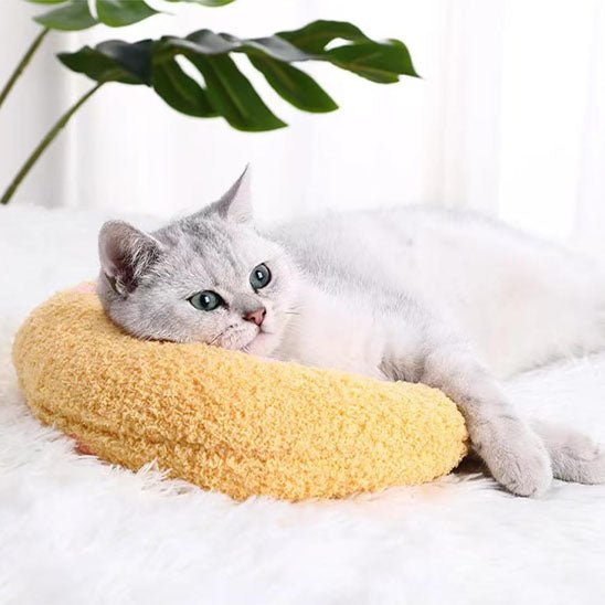 coussin doux et moelleux pour chat - universmiaou