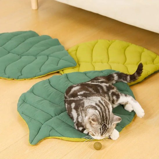 Coussin en forme de feuille pour chat - universmiaou