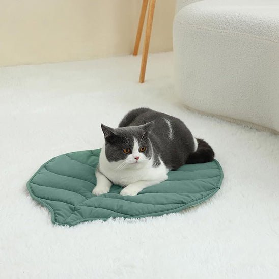 Coussin en forme de feuille pour chat - universmiaou