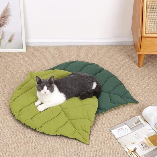 Coussin en forme de feuille pour chat - universmiaou