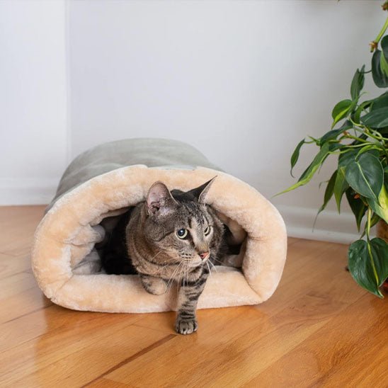 coussin en velours pour chat - universmiaou