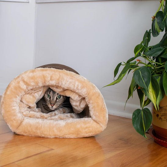 coussin en velours pour chat - universmiaou