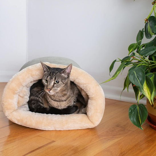 coussin en velours pour chat - universmiaou