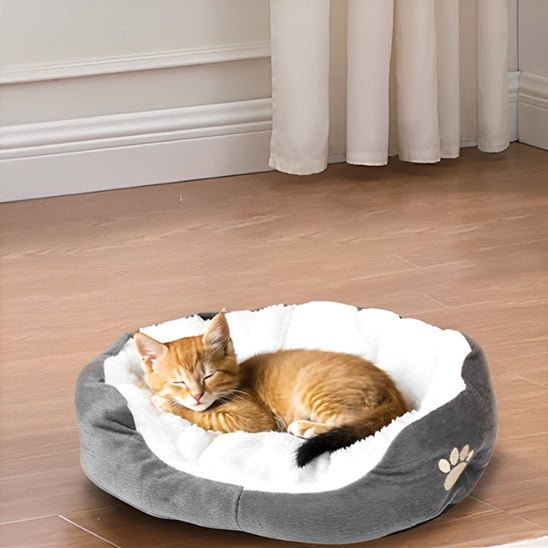 coussin pour chat - universmiaou