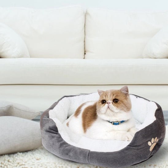 coussin pour chat - universmiaou