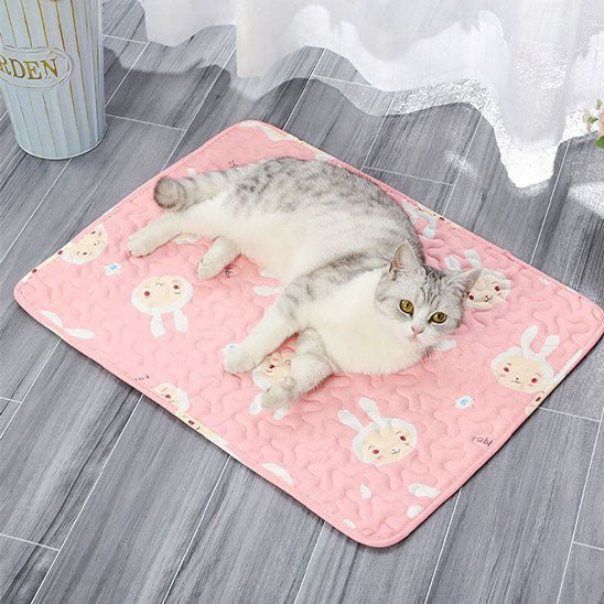 coussin rafraîchissant pour chat - universmiaou