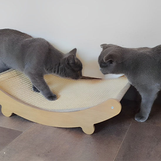 Coussinets à gratter en bois pour chats - universmiaou