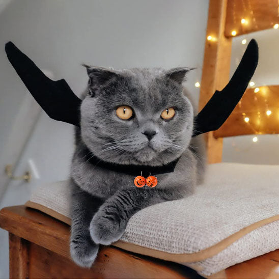 Déguisement pour chat