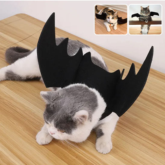 Déguisement pour chat