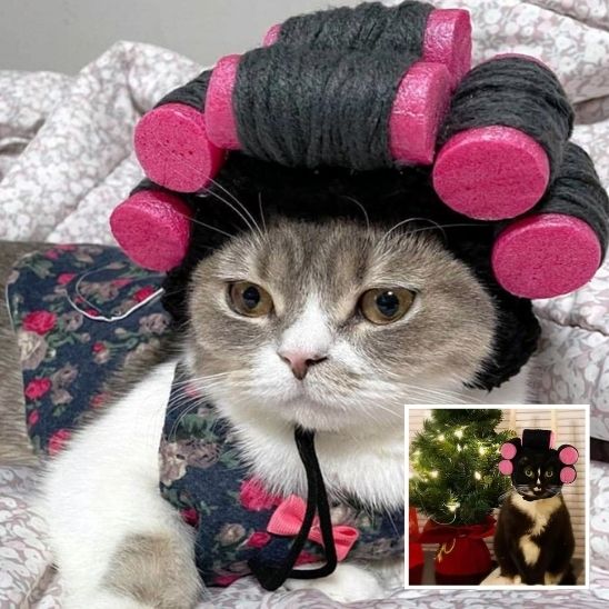 Déguisement pour chat en forme de perruque