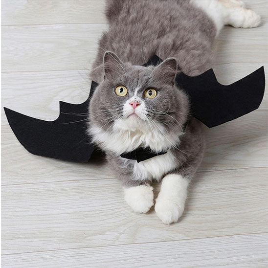 Déguisement pour chat