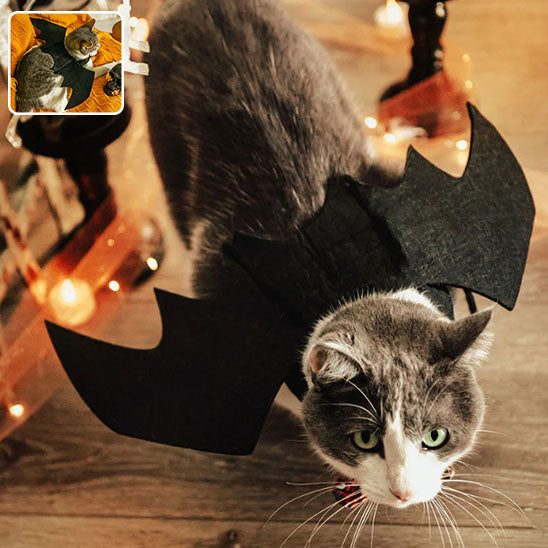 Déguisement pour chat