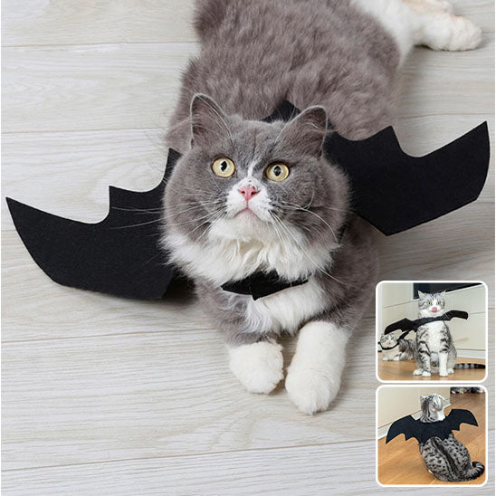 Déguisement pour chat