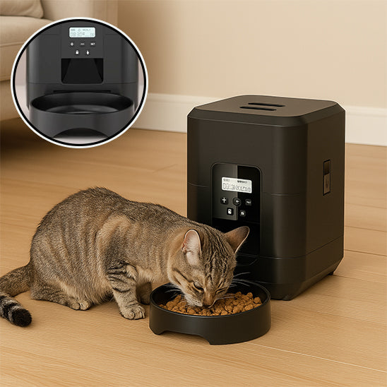 Distributeur de croquettes pour chat