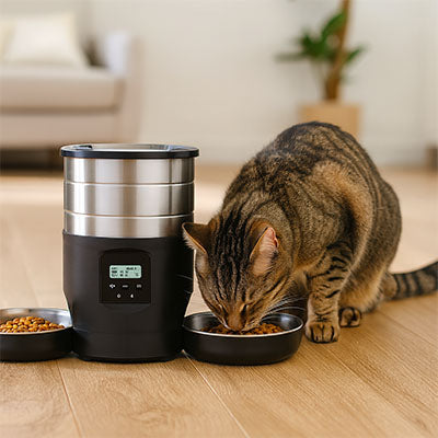 Distributeur de croquettes pour chat
