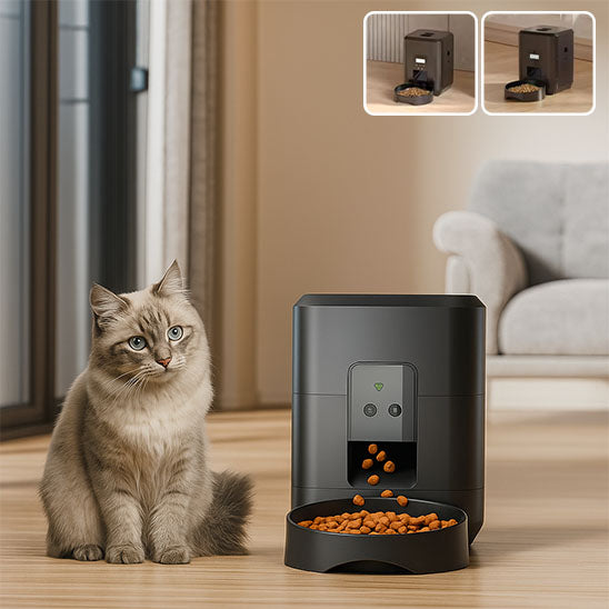 Distributeur de croquettes pour chat
