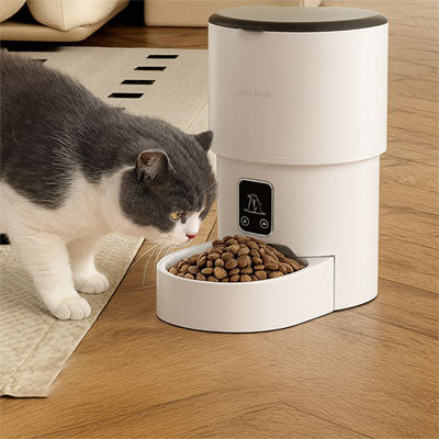 Distributeur de croquettes pour chat | AutoFeed Précision