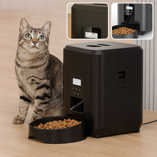 Distributeur de croquettes pour chat