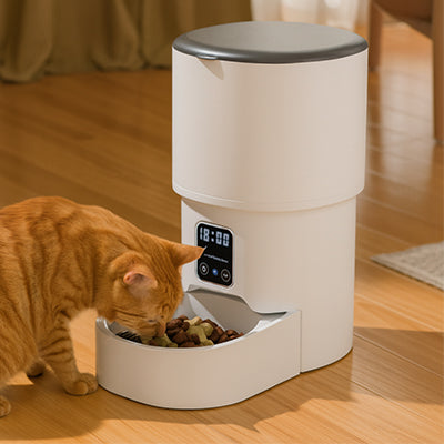 Distributeur de croquettes pour chat | AutoFeed Précision