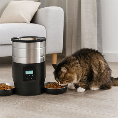 Distributeur de croquettes pour chat