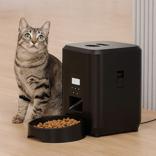 Distributeur de croquettes pour chat