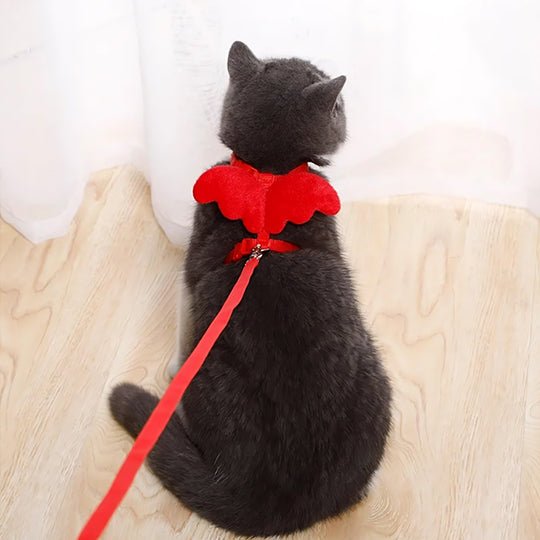 Ensemble harnais et laisse ailes d'ange pour chats - universmiaou