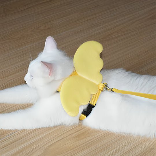 Ensemble harnais et laisse ailes d'ange pour chats - universmiaou