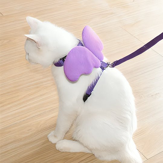 Ensemble harnais et laisse ailes d'ange pour chats - universmiaou