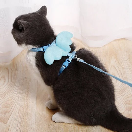 Ensemble harnais et laisse ailes d'ange pour chats - universmiaou