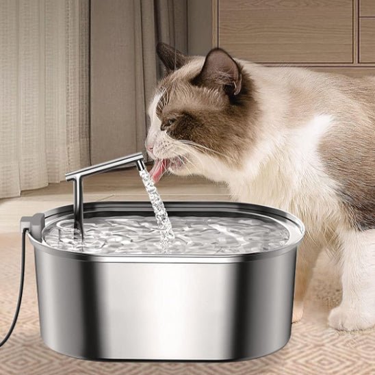 Fontaine à eau chat en acier inoxydable avec filtres en mousse - universmiaou