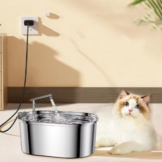 Fontaine à eau chat en acier inoxydable avec filtres en mousse - universmiaou