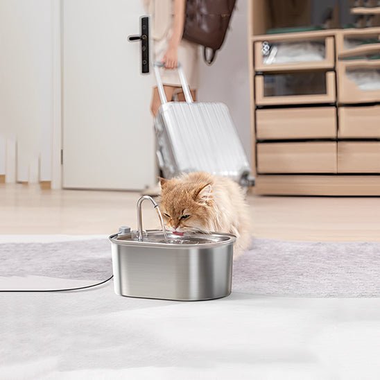 Fontaine à eau chat en acier inoxydable avec filtres en mousse - universmiaou