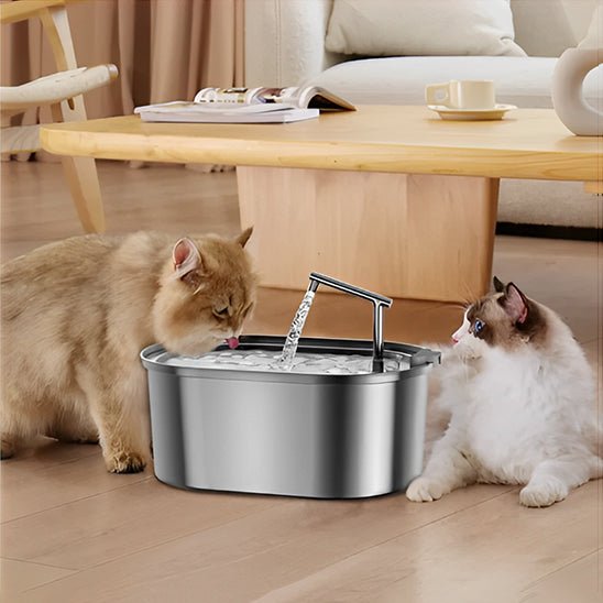 Fontaine à eau chat en acier inoxydable avec filtres en mousse - universmiaou