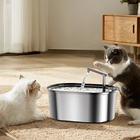 Fontaine à eau chat en acier inoxydable avec filtres en mousse - universmiaou