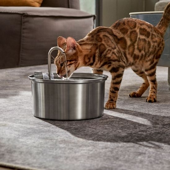 fontaine a eau chat - universmiaou