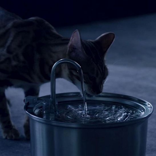 fontaine a eau chat - universmiaou