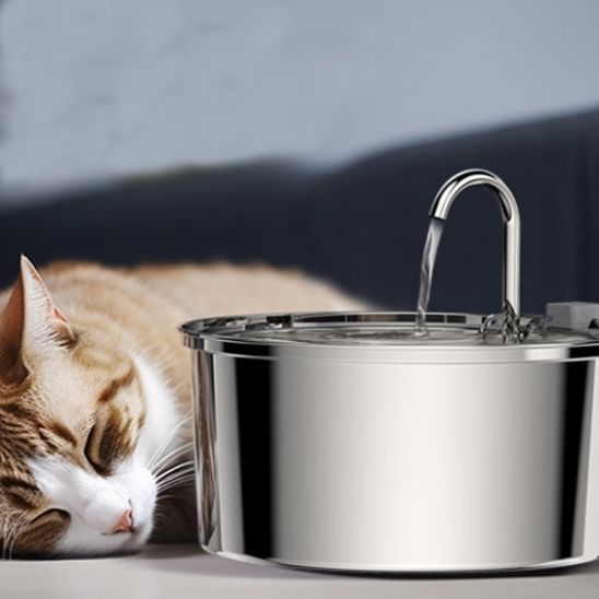 fontaine a eau chat - universmiaou