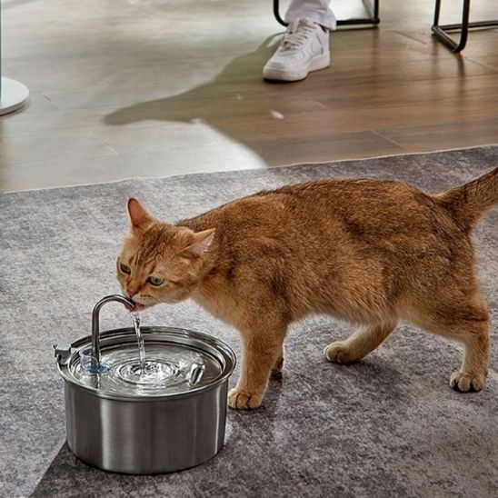 fontaine a eau chat - universmiaou