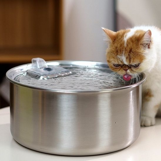fontaine a eau chat - universmiaou