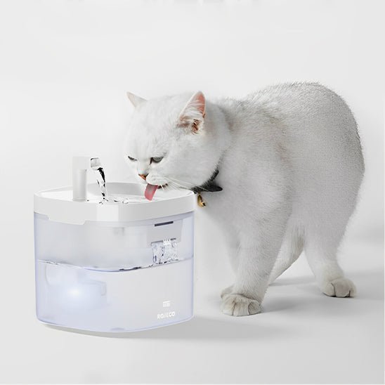 Fontaine à eau intelligente avec purificateur - universmiaou