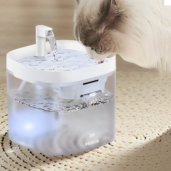 Fontaine à eau intelligente avec purificateur - universmiaou