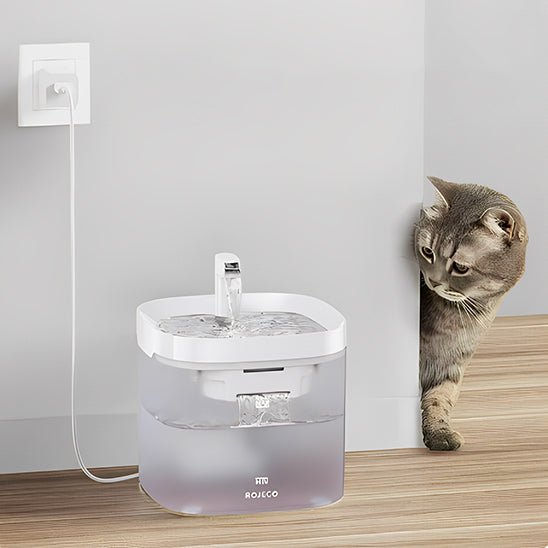 Fontaine à eau intelligente avec purificateur - universmiaou