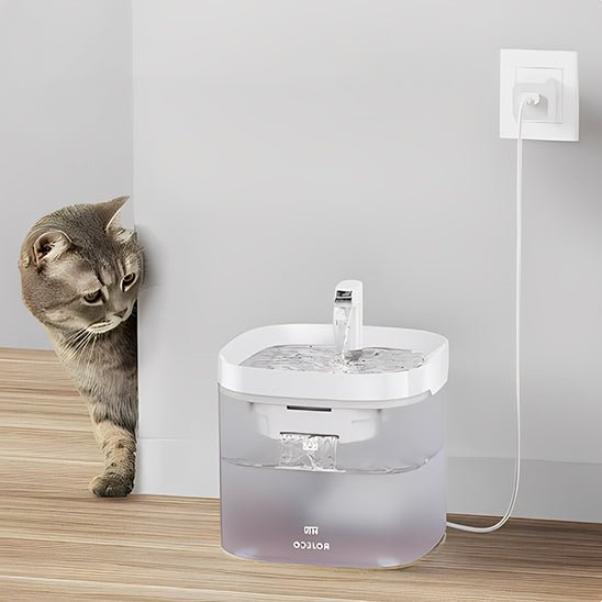 Fontaine à eau intelligente avec purificateur - universmiaou