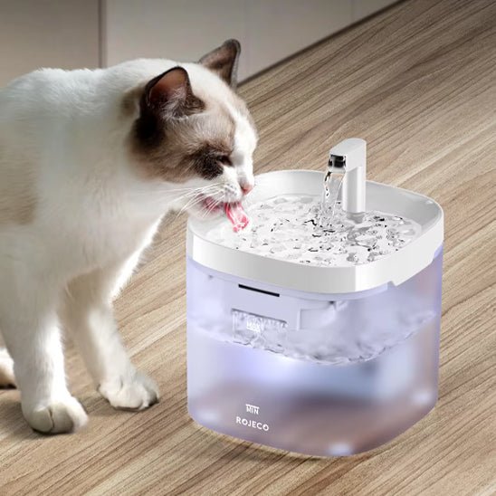 Fontaine à eau intelligente avec purificateur - universmiaou