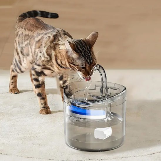 fontaine a eau pour chat - universmiaou