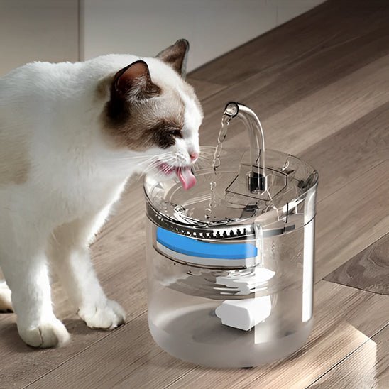 fontaine a eau pour chat - universmiaou